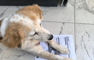 Γιατί σου έρχεται “φουσκωμένος” ο λογαριασμός ρεύματος; Το λάθος που κάνουν όλοι με τις κιλοβατώρες Γιατί σου έρχεται φουσκωμένος ο λογαριασμός ρεύματος? Το λάθος που κάνουν όλοι με τις κιλοβατώρες